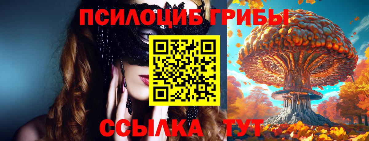 Галлюциногенные грибы GOLDEN TEACHER Кимры
