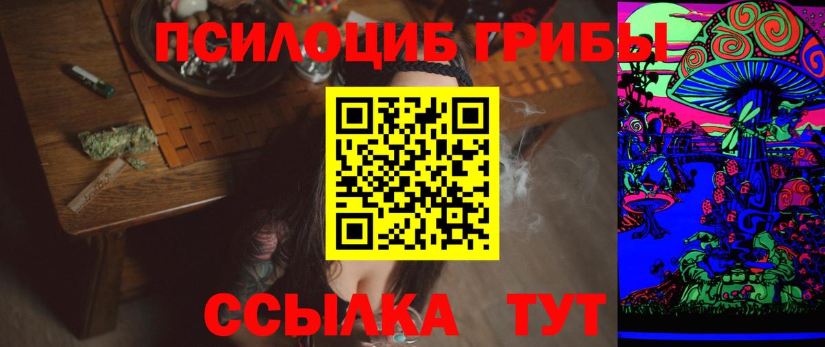 Кимры  Псилоцибиновые грибы Cubensis  Вход с VPN 