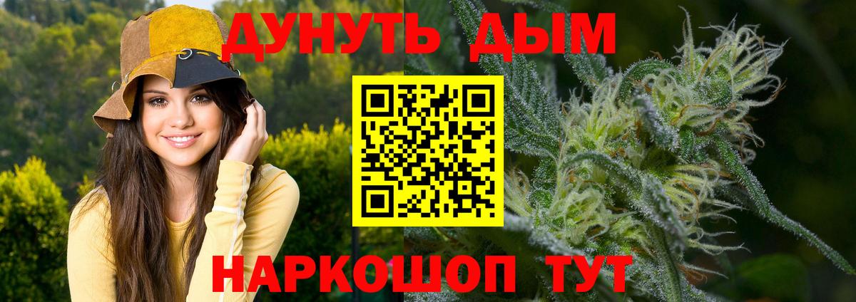 Кимры  Конопля OG Kush  Марихуана сатива  Вход с VPN  Конопля Bruce Banner  Каннабис ГИДРОПОН 